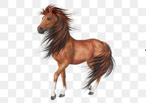 小马的个人资料,逐梦青春，砥砺前行